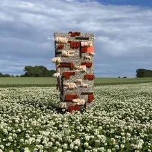 Ein Teppich gefertigt aus europäischer Schafwolle, gefärbt mit Pflanzenfarben in einem Feld.